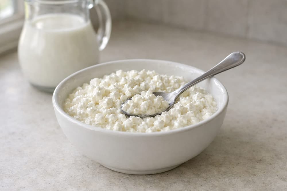 A white bowl of small-curd cottage cheese with a spoon in it, a glass jug of milk behind