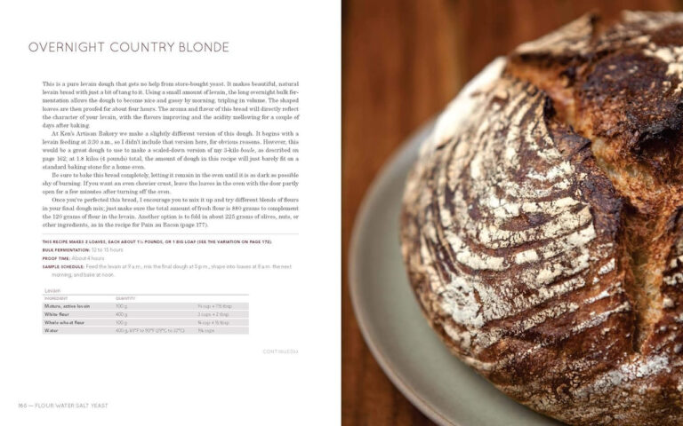 Flour Water Salt Yeast Cookbook by Ken Forkish