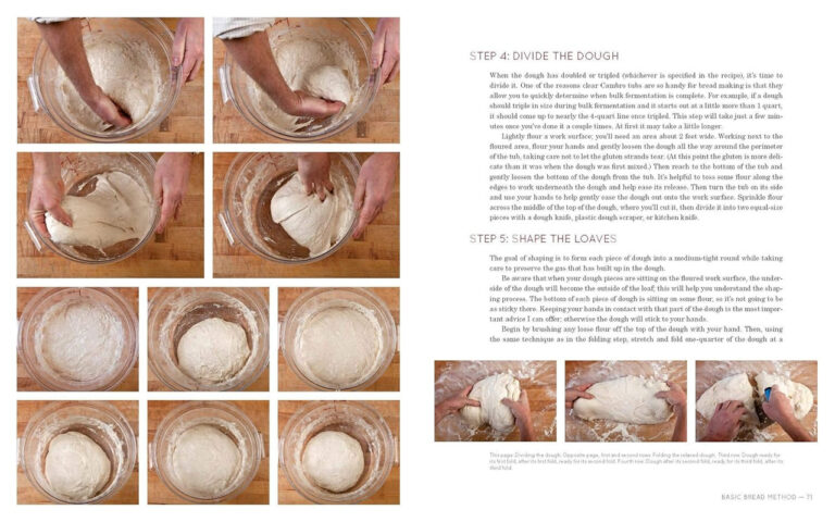 Flour Water Salt Yeast Cookbook by Ken Forkish