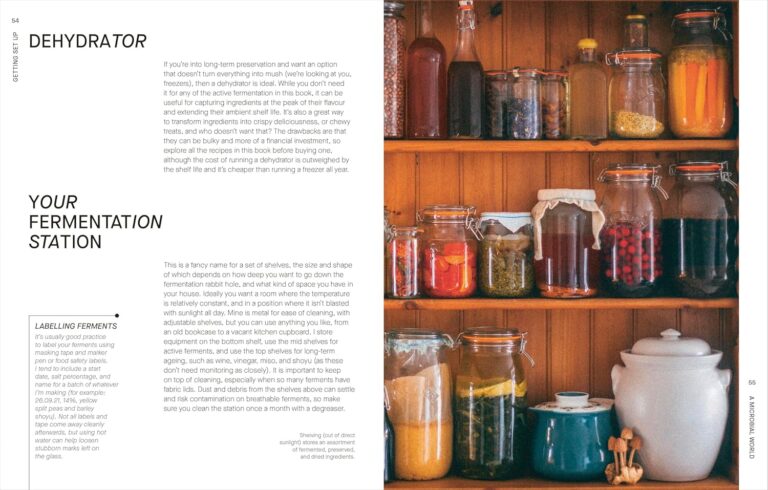 The Fermentation Kitchen: Recipes and Techniques for Kimchi, Kombucha, Koji and More by Sam Cooper
