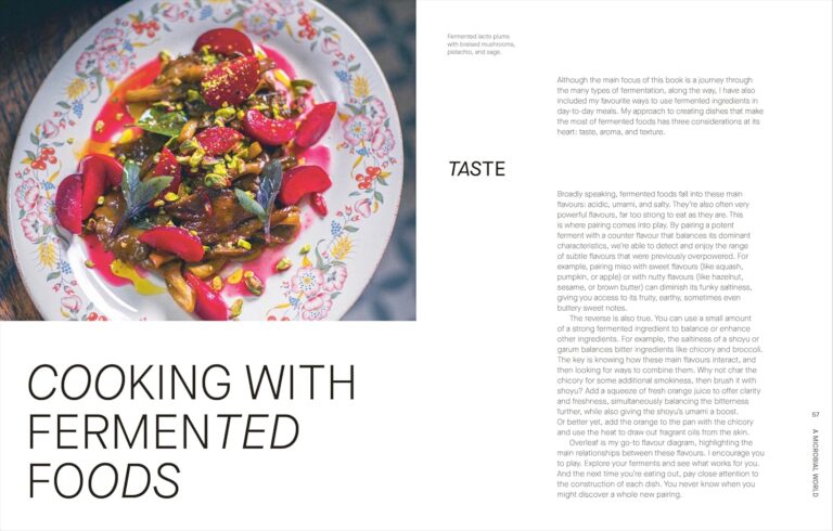 The Fermentation Kitchen: Recipes and Techniques for Kimchi, Kombucha, Koji and More by Sam Cooper
