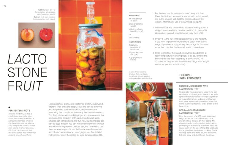 The Fermentation Kitchen: Recipes and Techniques for Kimchi, Kombucha, Koji and More by Sam Cooper